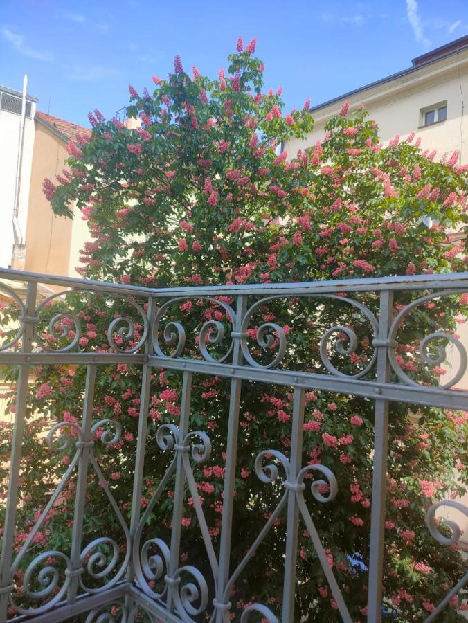 Daire Palace By Main Station - Premier Prag